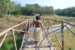 Yawanawa bridge crossing