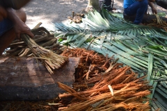 Making Ayahuasca medicine 