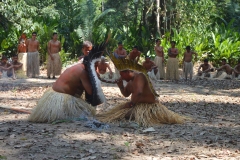 Shamans passing the Hape