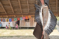 Shaman headdress 