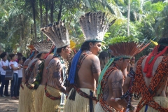 Yawanawa Tribe dance