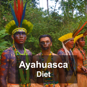 aya diet vivacre retreat