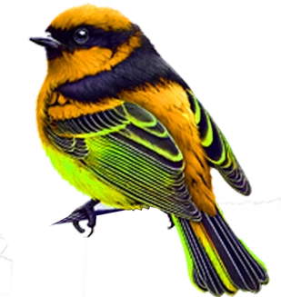 Vivacre retreat logo